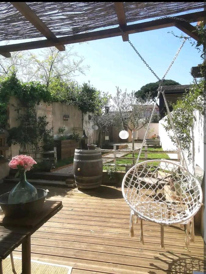 La Maison De Marie - Jardin Arbore - Garage Privatif - Netflix カルカソンヌ エクステリア 写真